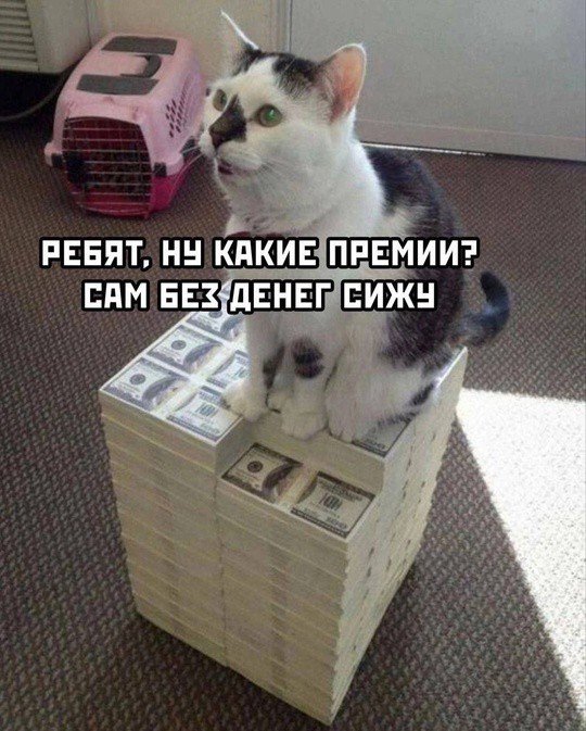 Всего понемногу. От 08.01.2025