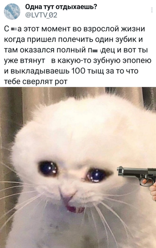 Весёлый полтишок 16.02.25