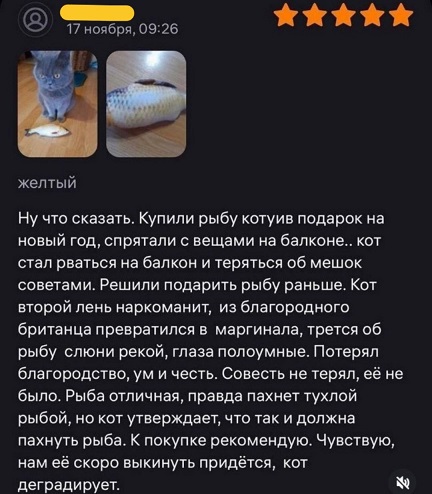 Хорошо, когда отдохнул на природе