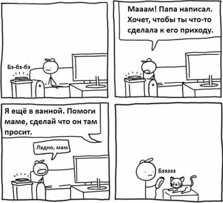 Соточка. Внеплановая. Дичь.