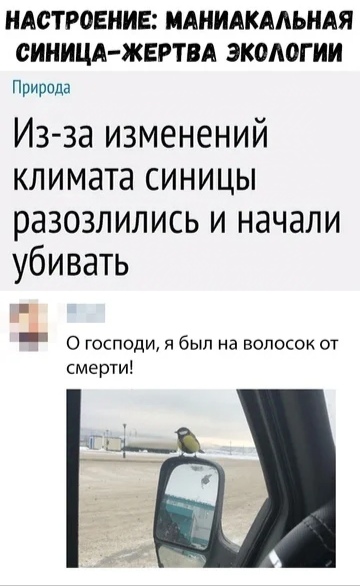 Немного картинок есть у меня на пятницу.