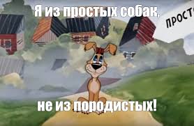 Сколько стоит свидание?