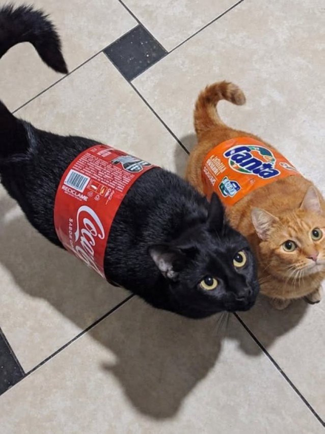 Картинки на 27.02.2026