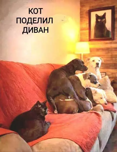 Картиночки, баянчики 02 марта