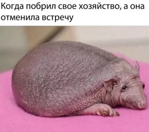 Картиночки, баянчики 19 марта