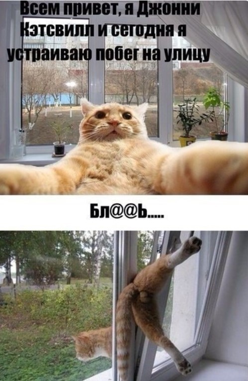 Картиночки, баянчики 30 апреля