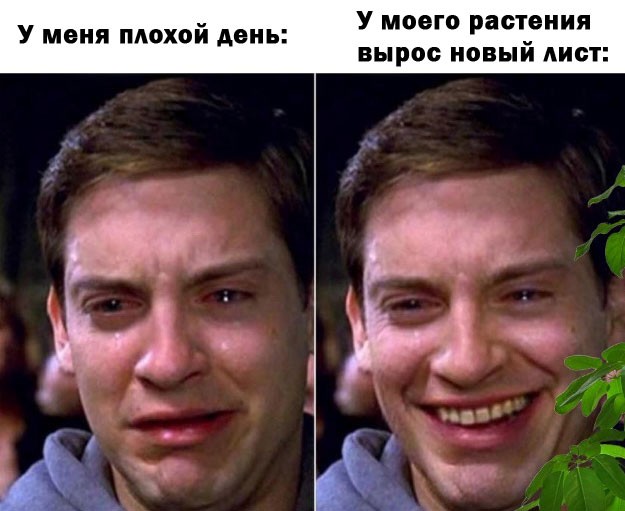 Весна в мемах