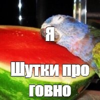 Советы по сбору кала на анализ