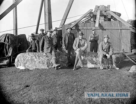 Стоунхедж - авантюра английского правительства?