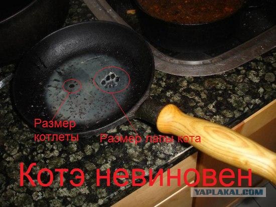 Улика