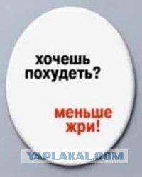 Проблема детского ожирения в США и Китае