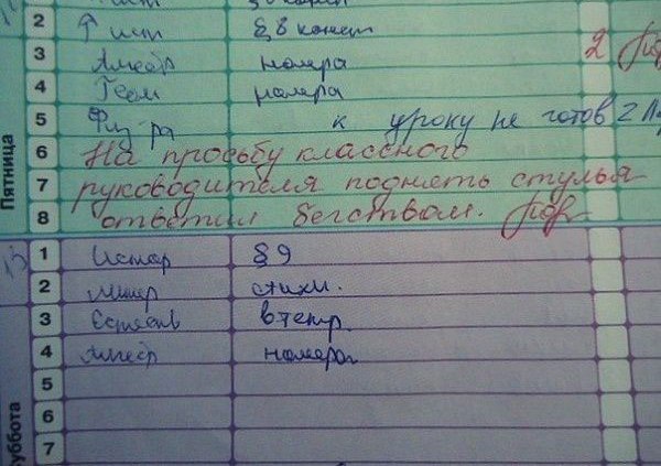 Записи в Дневниках