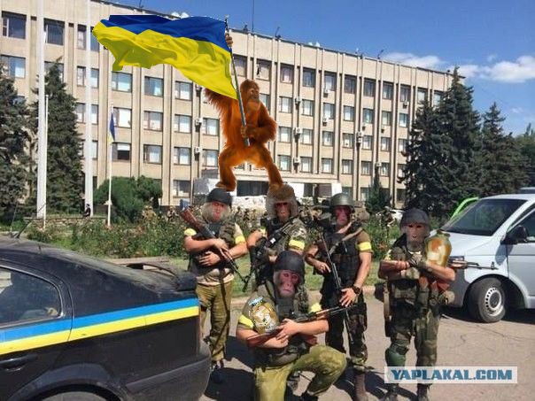 Украинская армия в Славянске