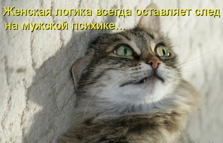 У них на всё есть своё мнение...