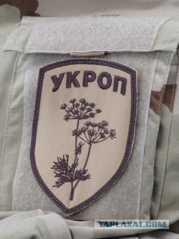 Порошенко признал себя укропом