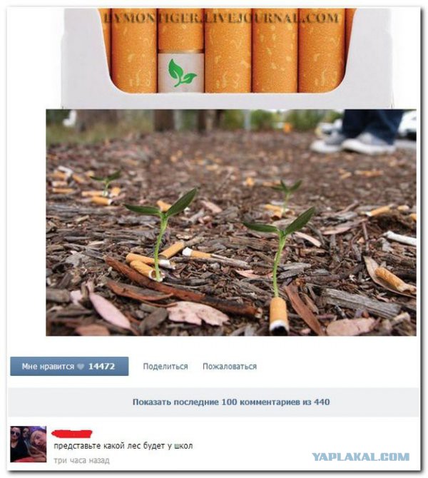 Смешные комментарии из соцсетей, картинки