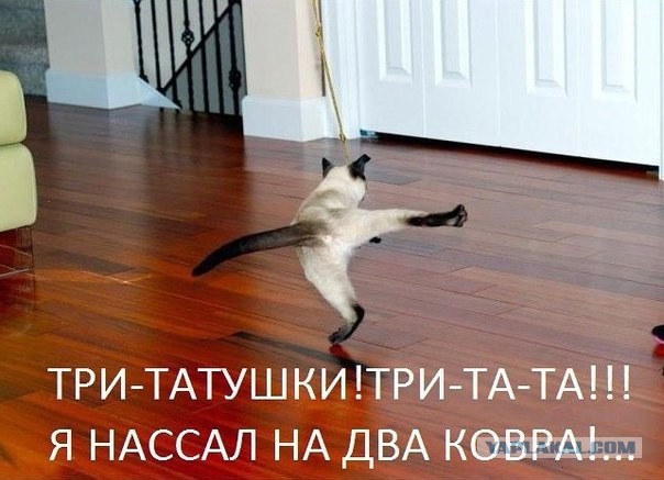 Веселые картинки