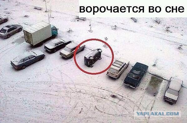 Весёлое из сети