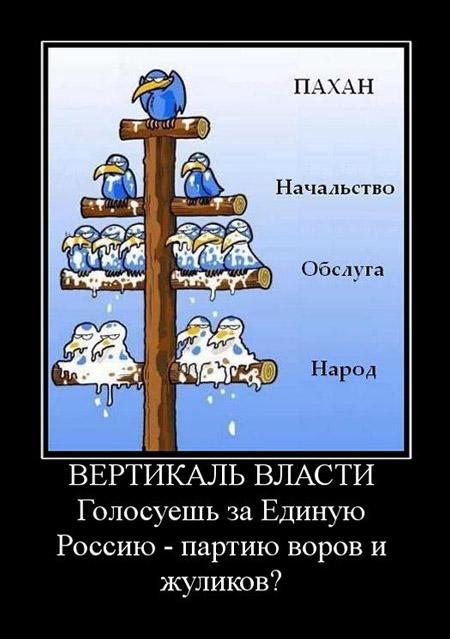 За что наградили сына Сечина.