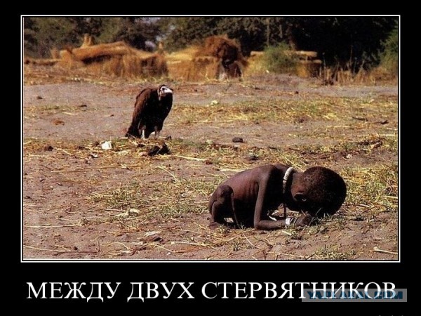 Прощание с любимой собакой