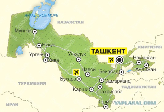 Узбекистан, 20 февраля, +16, нервным не смотреть!