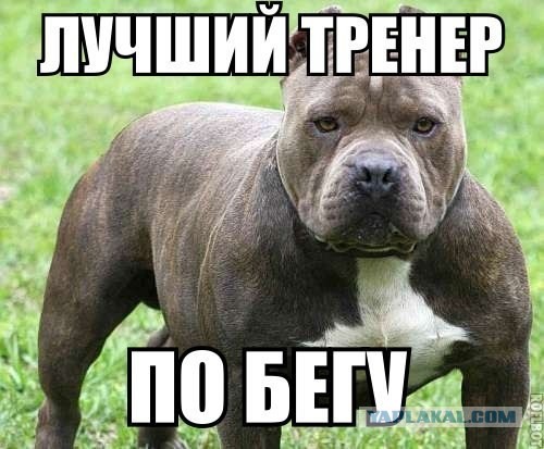 Коллекция картинок