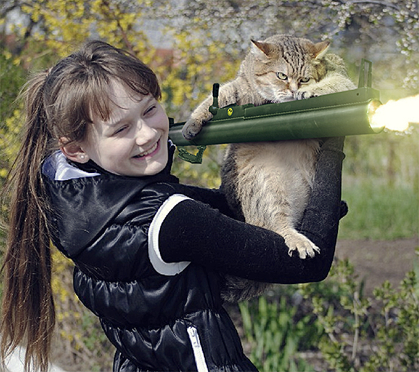 Первая прогулка с котом