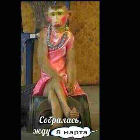 Подарка не будет!