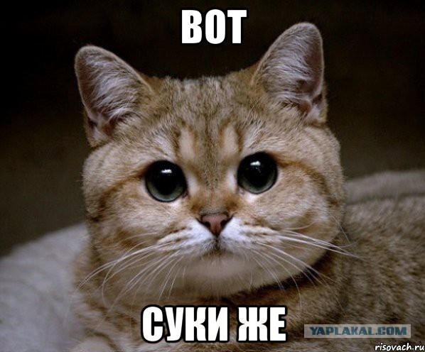 Не спасайте феминисток