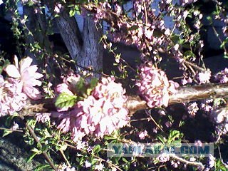 Немного летнего позитива