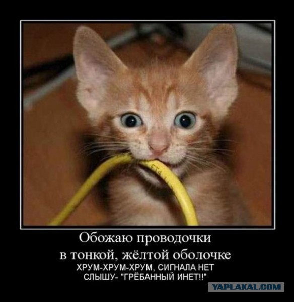 "Давай...ага...подсоединил, проверяй!"