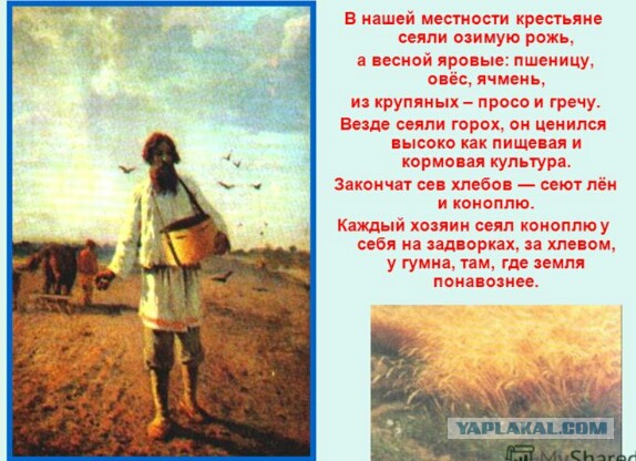 Выросло поколение детей, не знающих