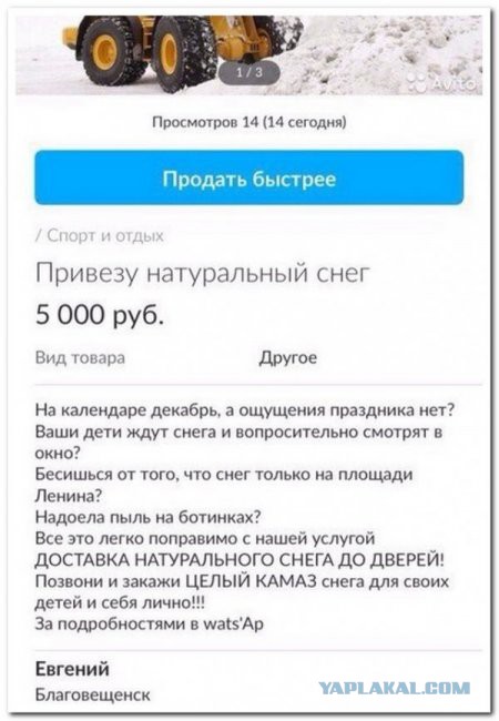 Картинки смешные и несмешные