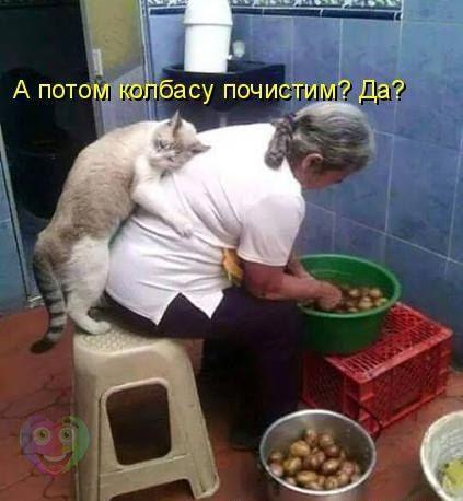 Пучок смешных картинок