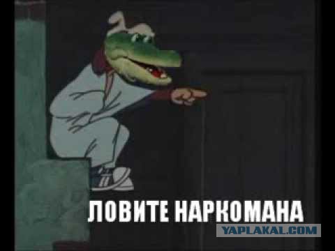 Таракан - идеальный организм