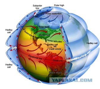 Спорил с женой до хрипоты
