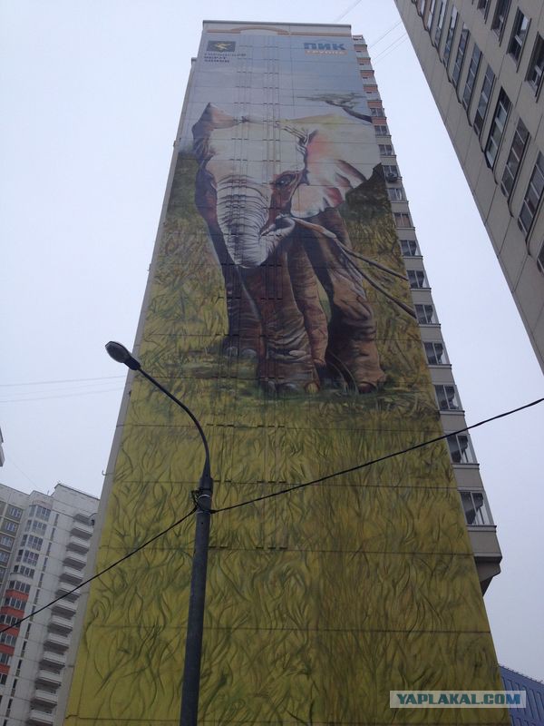 Подборка картинок 20.02.16