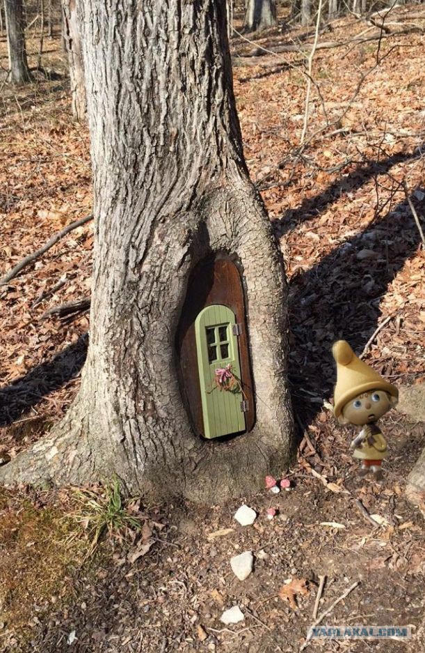 Подборка картинок 29.02.16