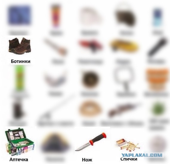 Вы попали на необитаемый остров и у вас есть возможность взять только 4 вещи