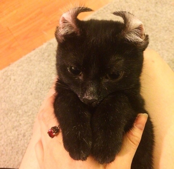 Подборка интересных и веселых фото