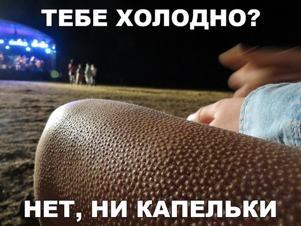 Подборка интересных и веселых картинок