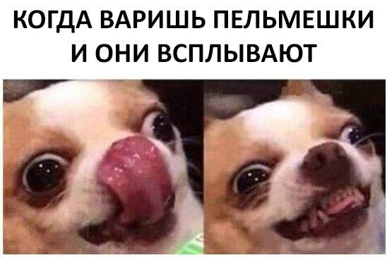 Картинки на пятницу