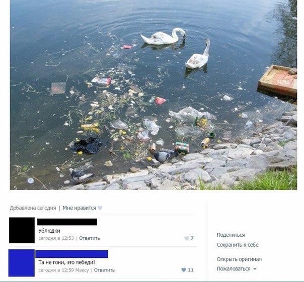 Ужасы и приколы из соцсетей 18+