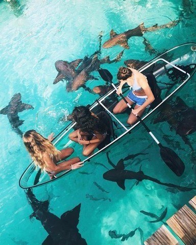 Подборка картинок