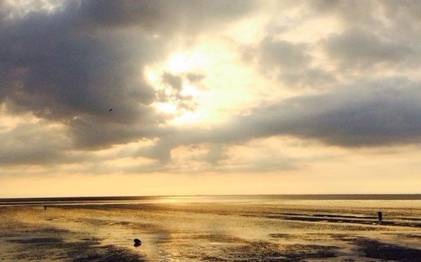 Подборка интересных и веселых фото