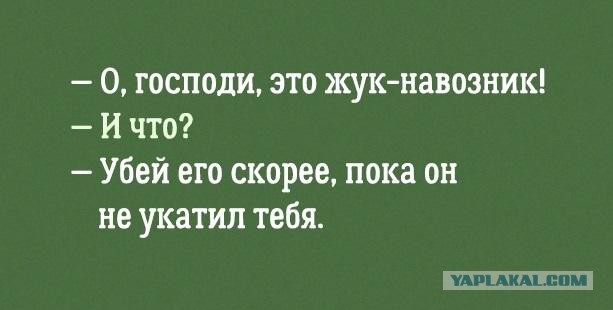 Несколько фоток