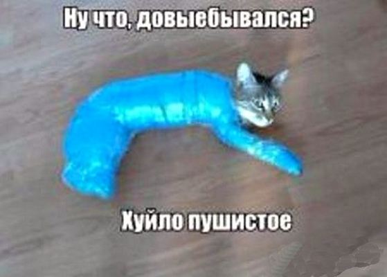 Поговори со мной, Животное!