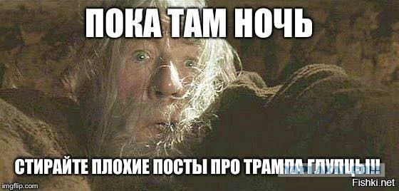 Юмор из соцсетей про выборы в США