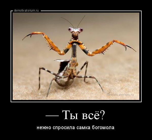 Двойные стандарты