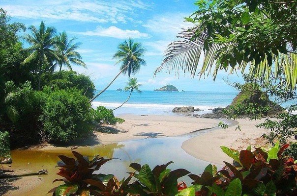 Моменты, запечатлённые на фото и просто позитив 5